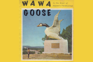 Wawa Goose Information