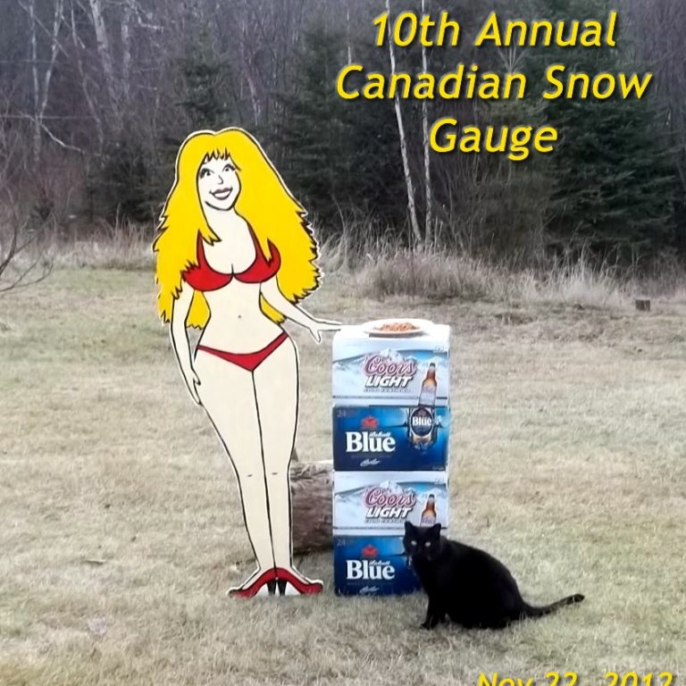 Chica and the Canadian Snow Gauge